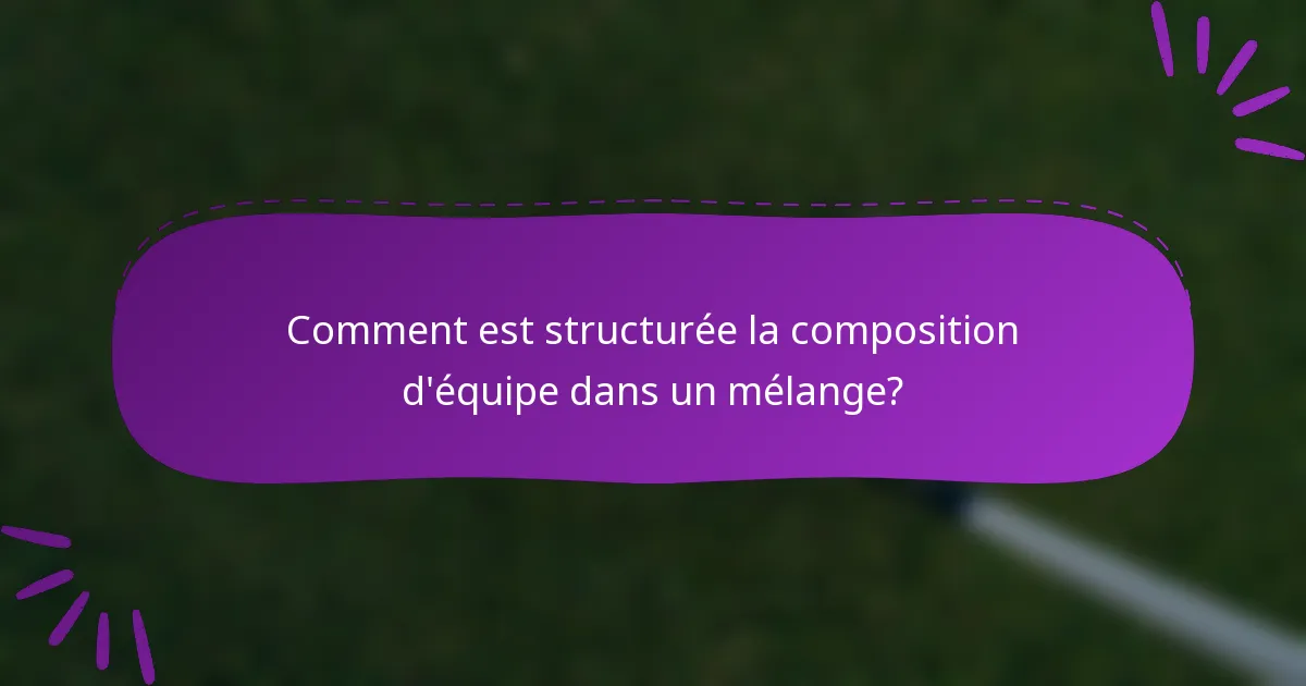 Comment est structurée la composition d'équipe dans un mélange?